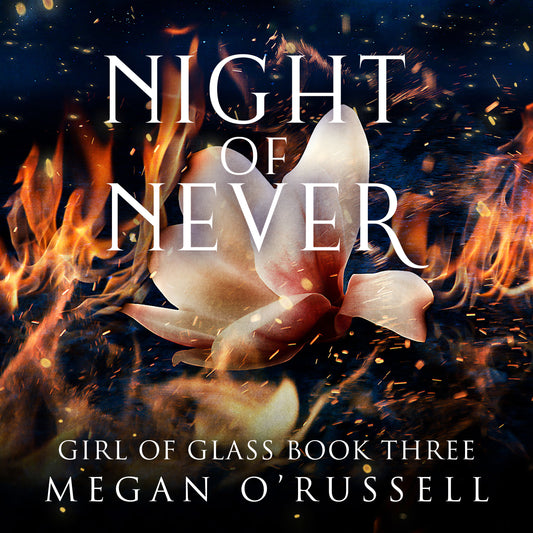 Night of Never Audiobook