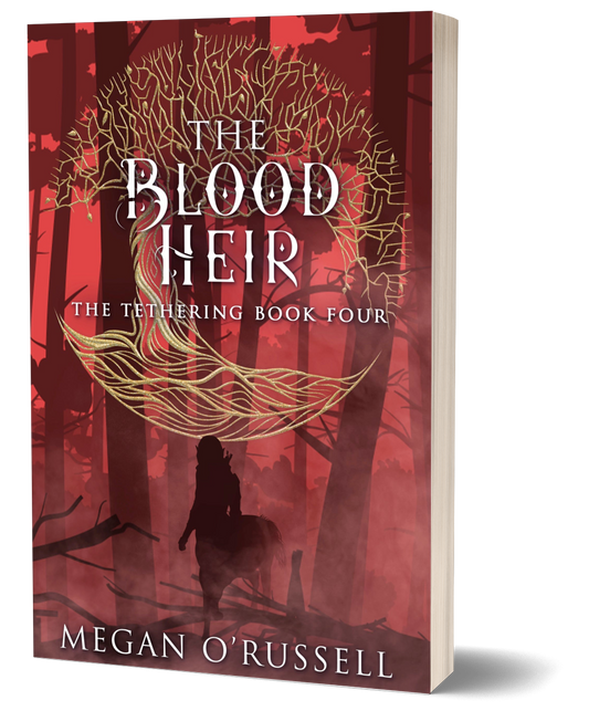 The Blood Heir Signed Paperback (Scratch-n-Dent)
