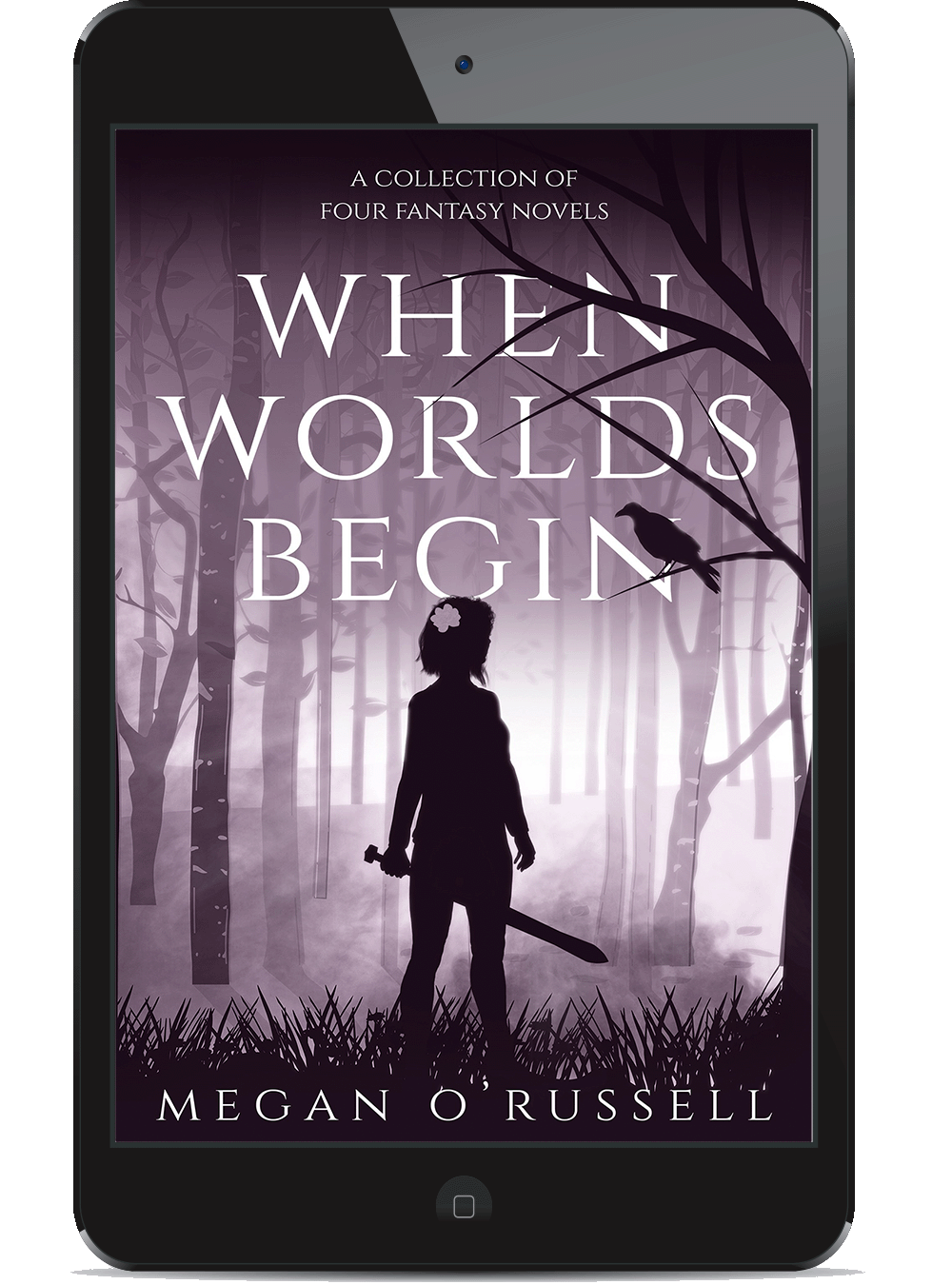 When Worlds Begin (eBook)